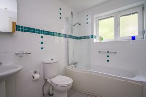 Photo 12- click for photo gallery